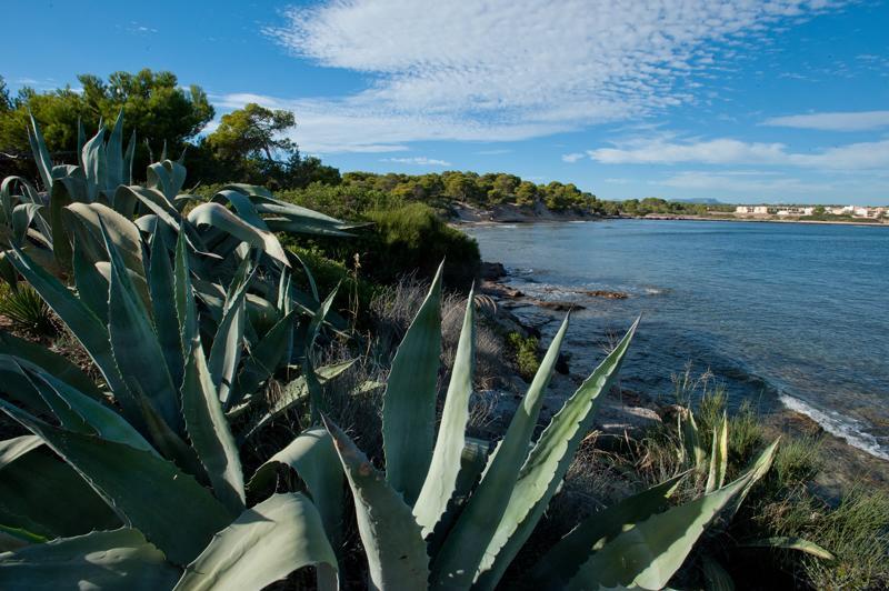 Casitas De Pescadores S'Estanyol de Migjorn Экстерьер фото